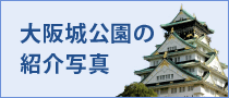 大阪城公園の紹介写真