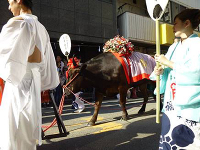 写真：陸渡御シリーズ6