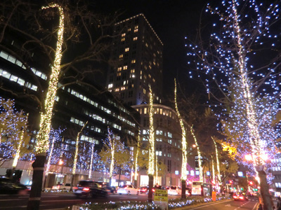 写真：イルミネーション1