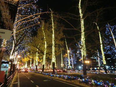 写真：イルミネーション2