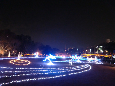 写真：イルミネーション6