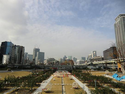 写真：中之島公園3