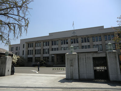 写真：桜シリーズ7