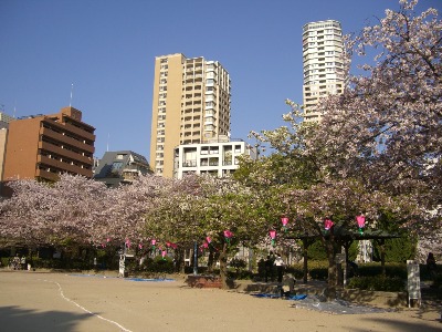 写真：中大江公園1