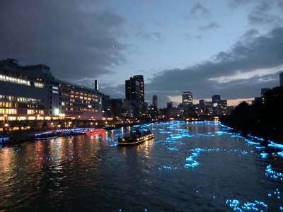 写真：大阪の夏シリーズ1