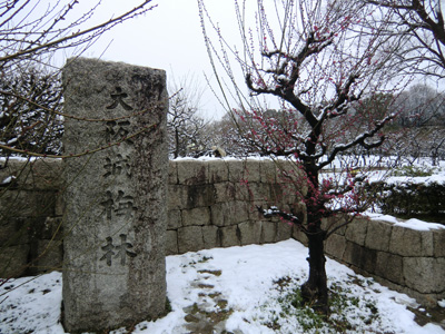 写真：大阪城14