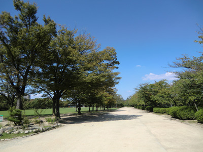 写真：大阪城18