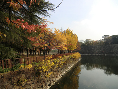 写真：大阪城33_01