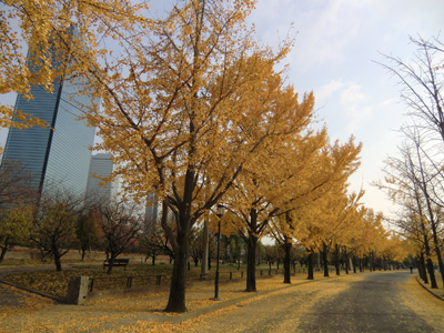 写真：大阪城33_02