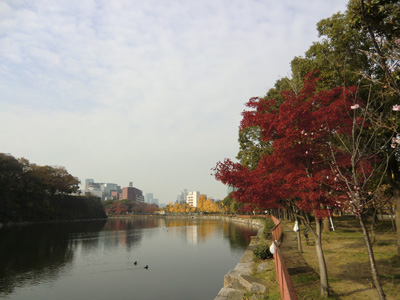 写真：大阪城33_03